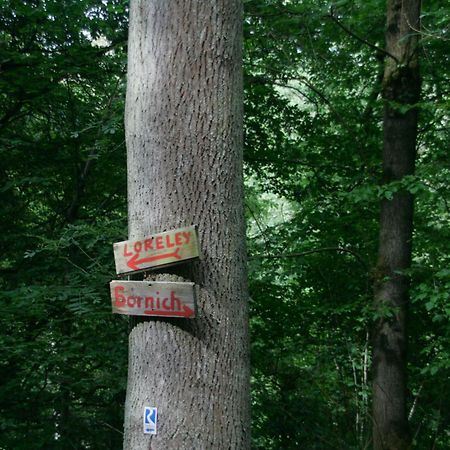 Ferienwohnung Baehr Bornich Екстериор снимка